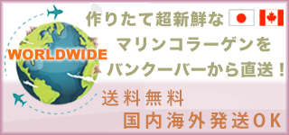 作りたて新鮮なマリンコラーゲン 産地直送、送料無料【FINNマリンコラーゲン基礎化粧品】