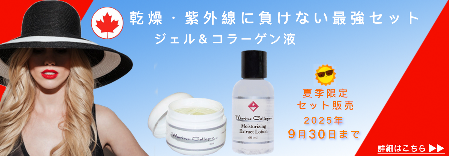 春夏セット/ 夏季限定販売