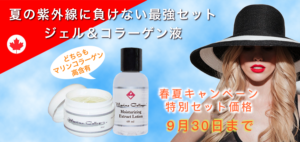 春夏セット/ 夏季限定販売